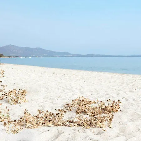Hotel Li Suari Club Village San Teodoro (Sardinia)
