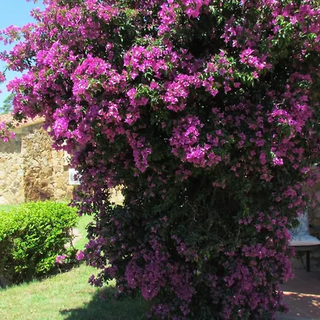 Li Suari Club Village San Teodoro (Sardinia)