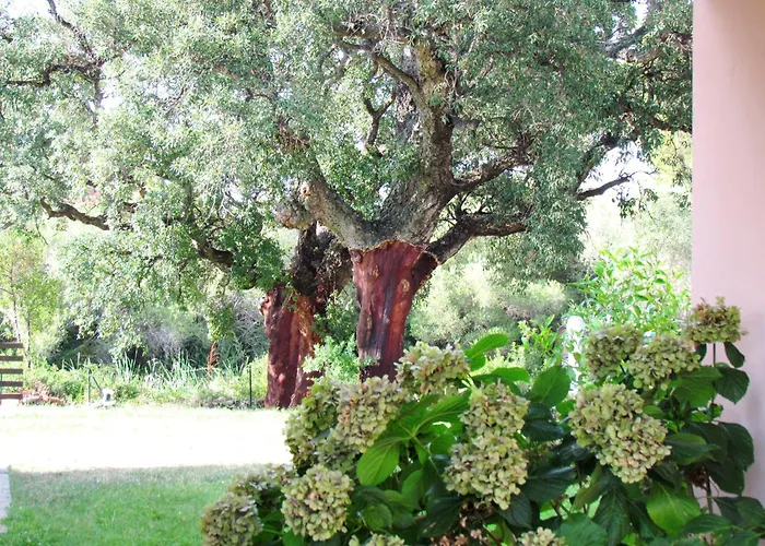 Hotel Li Suari Club Village San Teodoro (Sardinia)